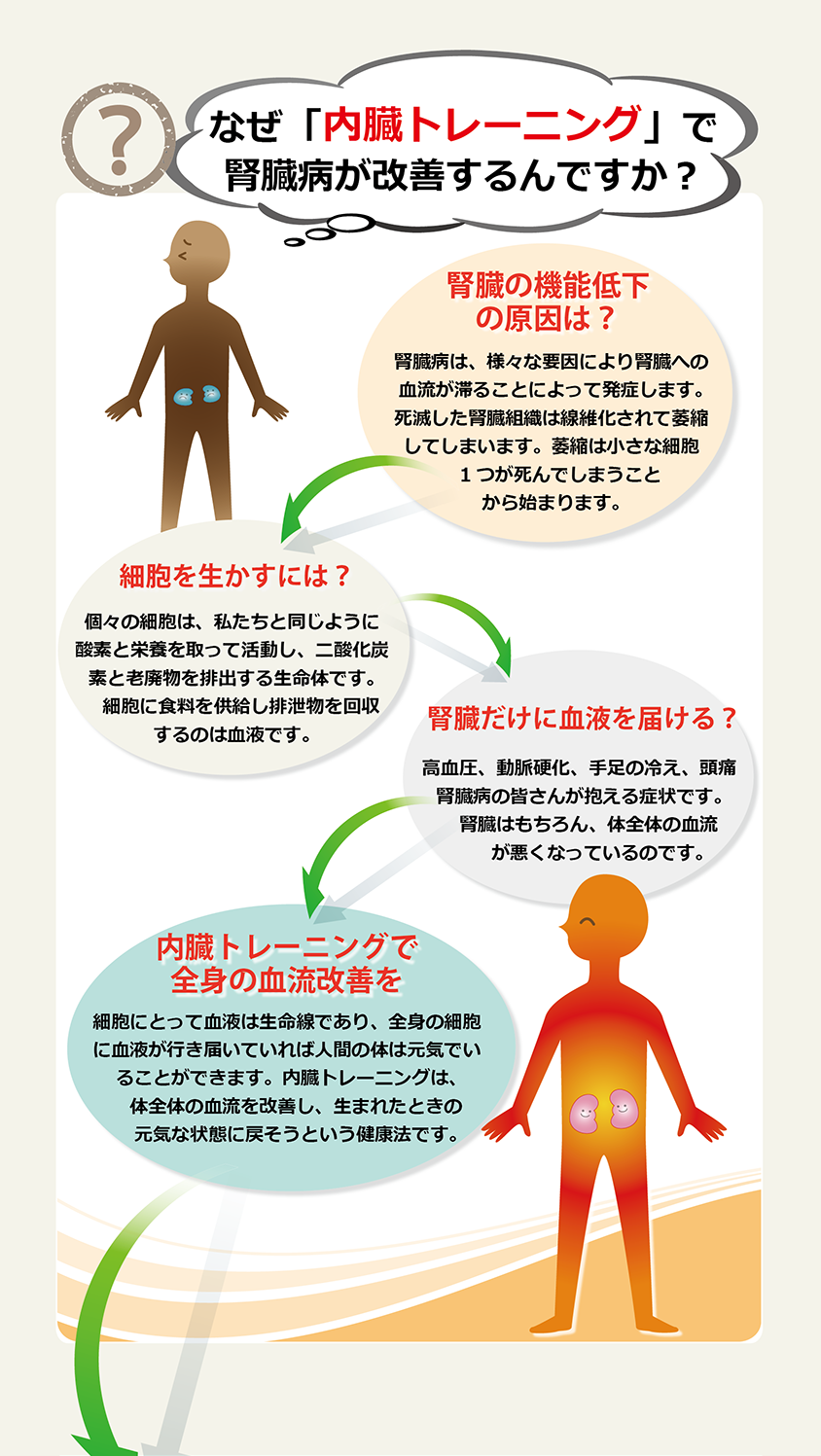 なぜ内臓トレーニングで腎臓病が治るんですか？