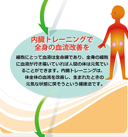 内臓トレーニングで全身の血流改善を