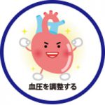 血圧の調節
