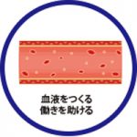 造血作用